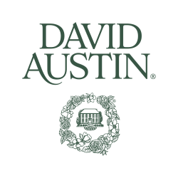 David_Austin_Logo_Primary_AW_Leaf_Green_RGB